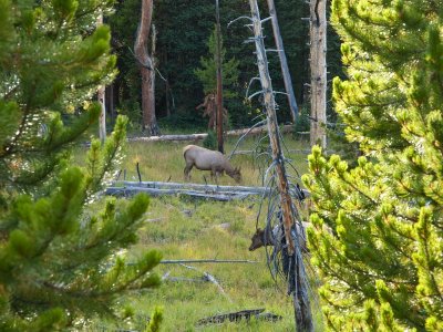 West Thumb area, Yellowstone