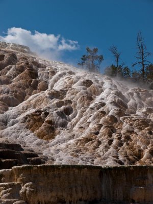 Mammoth Hot Springs, Yellowstone