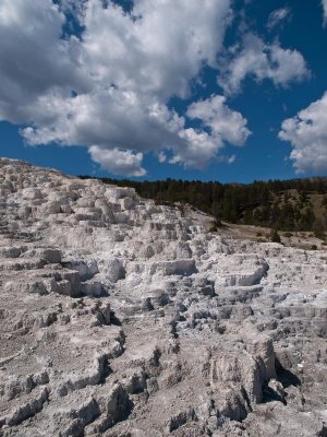 Mammoth Hot Springs, Yellowstone