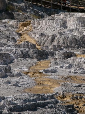 Mammoth Hot Springs, Yellowstone