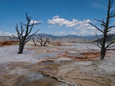 Mammoth Hot Springs, Yellowstone