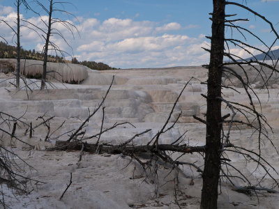 Mammoth Hot Springs, Yellowstone