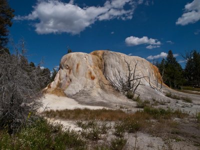 Leaving Mammoth Hot Springs, Yellowstone