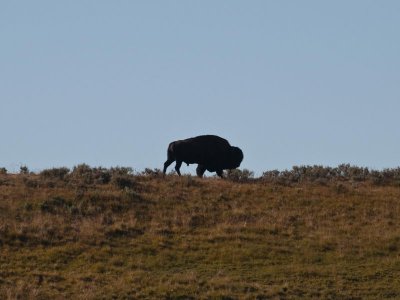 East Side of Yellowstone