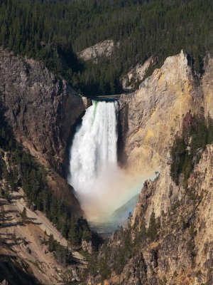 Lower Falls, Artist Point, Yellowstone