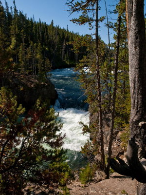 The Brink, Upper Falls, Yellowstone