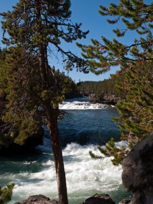 The Brink, Upper Falls, Yellowstone