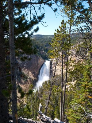 Grand View, Lower Falls, Yellowstone