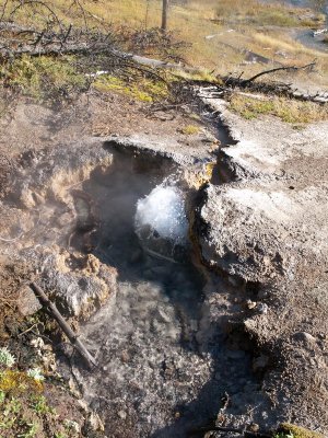 Along the trail to Lone Star Geyser