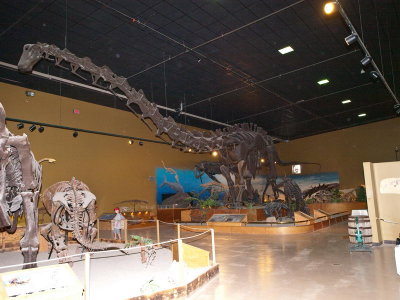 Thermopolis Wyoming Dinosaur Center