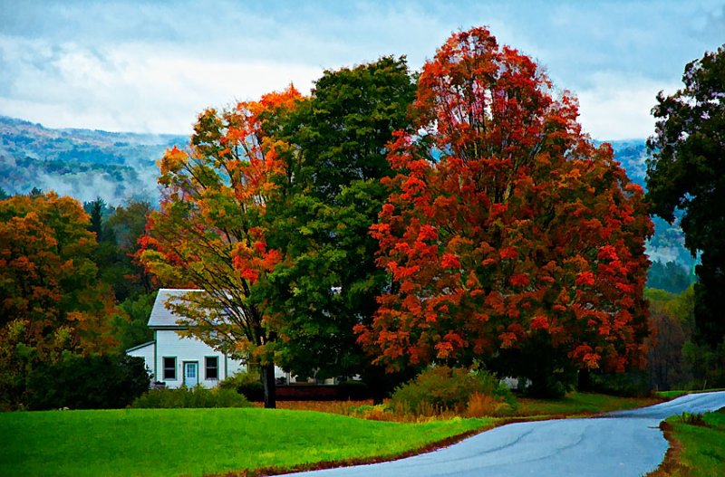 Vermont Farm 01