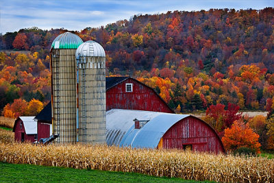 PA 010