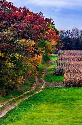 PA 080