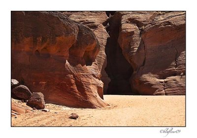 Northern Arizona