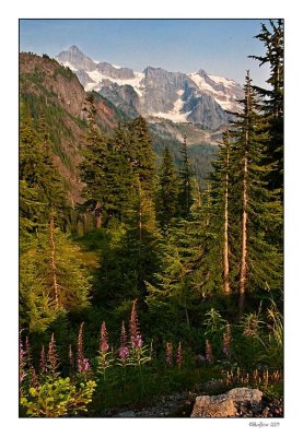 Mt Baker Rec Area 04