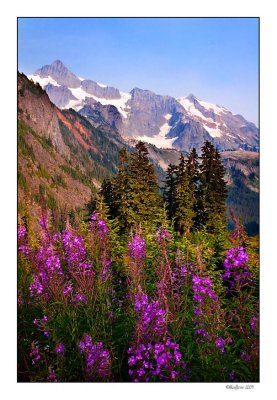 Mt Baker Rec Area 05