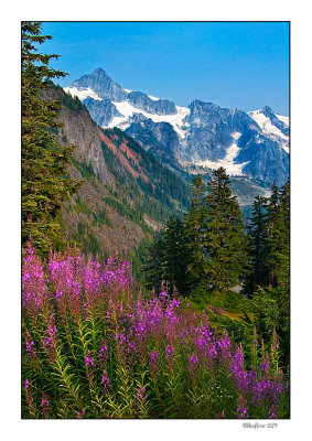 Mt Baker Rec Area 10