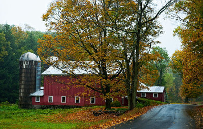 Vermont Barn 11