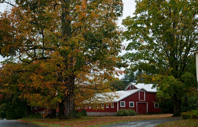 Vermont Barn 12