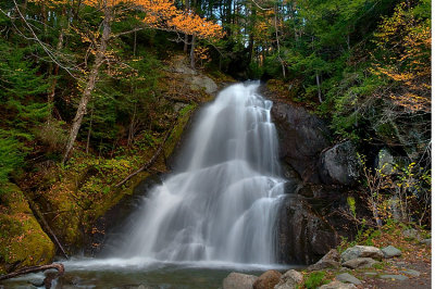 Waterfall Glen Moss Falls 01