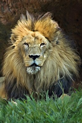 The King