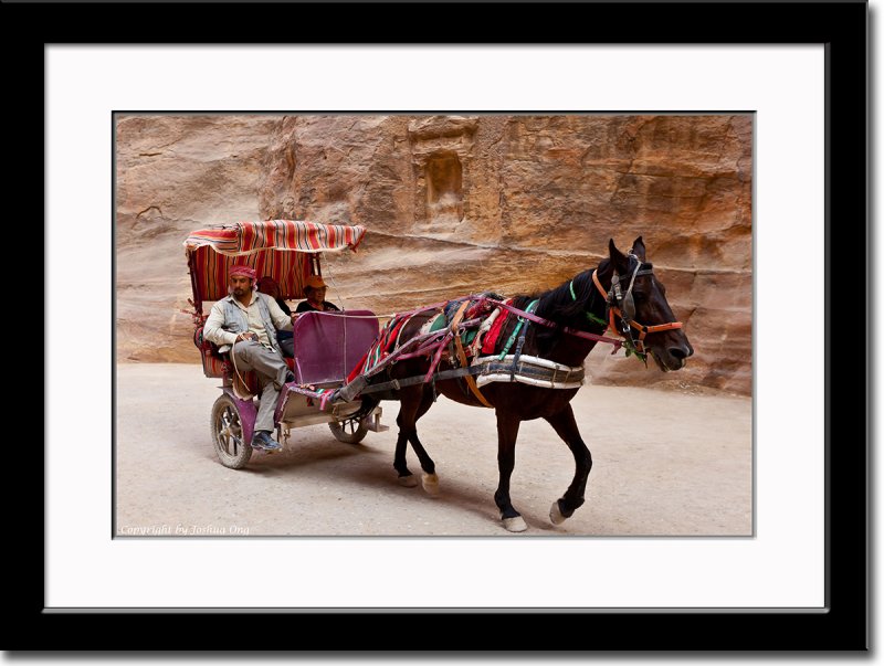 Horse Cart Carrying Tourists