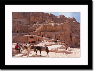 A Young Donkey Ride Vendor