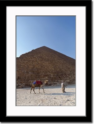 A More Dramatic View of Camel and Pyramid