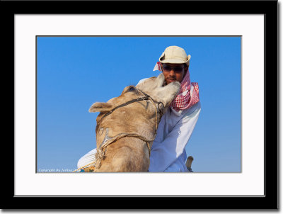 Camel Love....