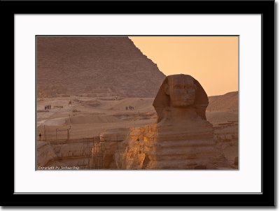 Sphinx at Sunset