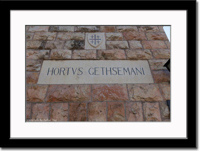Gethsemani Garden