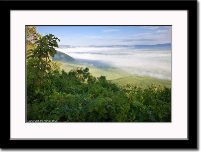 View of the Beautiful Ngorongoro Crater from the Rim