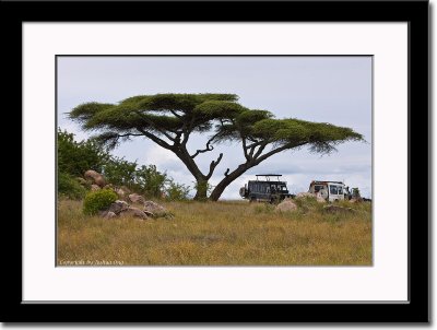 African Landscape 3