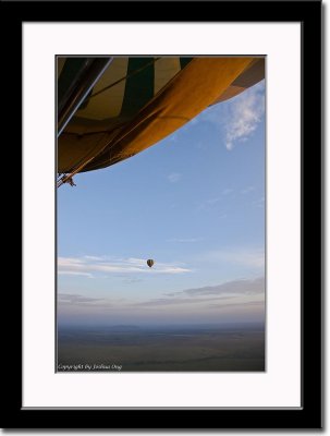 Hot Air Balloon Over Serengeti 2