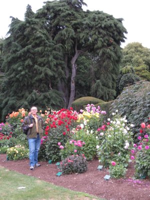 The gardens has many tree species as well as flowers....