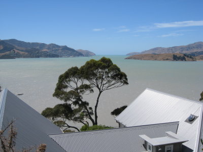 View from a hill overlooking Lyttleton Harbor- where the first white settlers came
