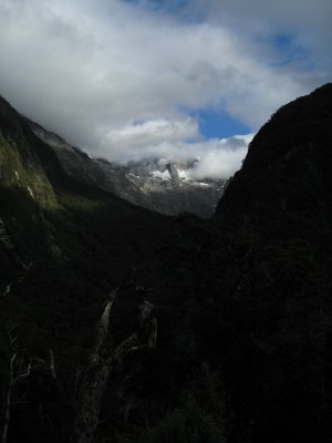 So we drove down to Te Anau and took a small local tour van to Milford Sound- fantastic views on the way
