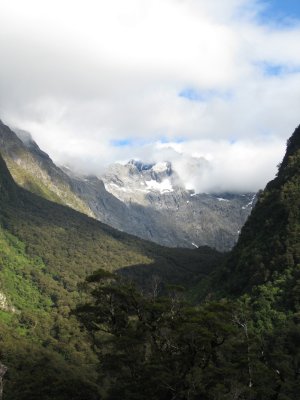 More of the Park, looking down Hollyford Valley
