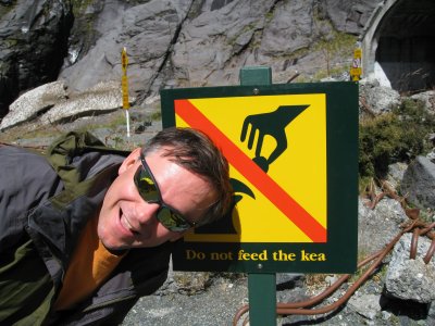 Don't feed the Keas, or Mitch either! (Keas are large mischievious parrots- you'll see one later)