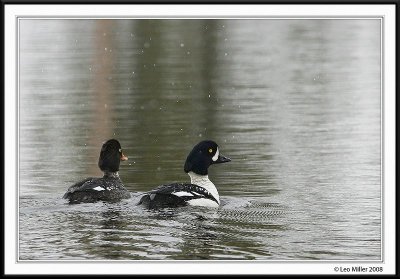 PC-_J3W1937XX framed.jpg