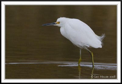 PC-_J3W6487CC framed.jpg