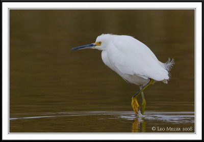 PC-_J3W6488CC framed.jpg