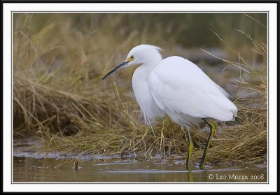 PC-_J3W6489CC framed.jpg
