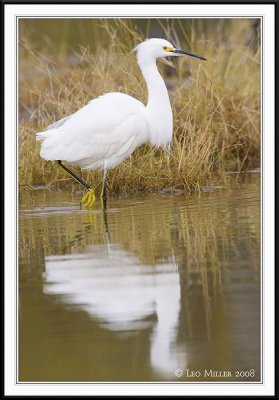 PC-_J3W6524CC framed.jpg