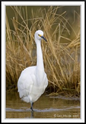 PC-_J3W6529CC framed.jpg