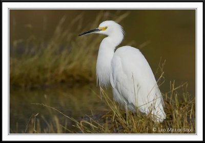 PC-_J3W6543CC framed.jpg