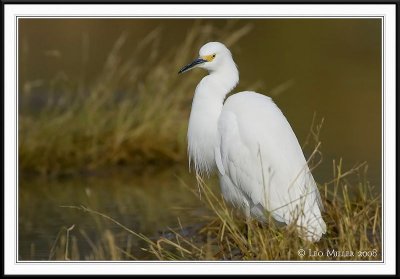 PC-_J3W6544CC framed.jpg