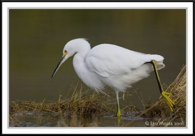 PC-_J3W6558CC framed.jpg