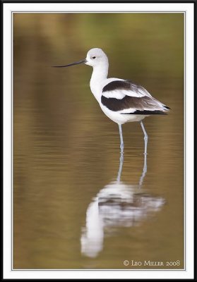 PC-_J3W6596CC framed.jpg