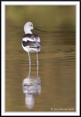 PC-_J3W6598CC framed.jpg